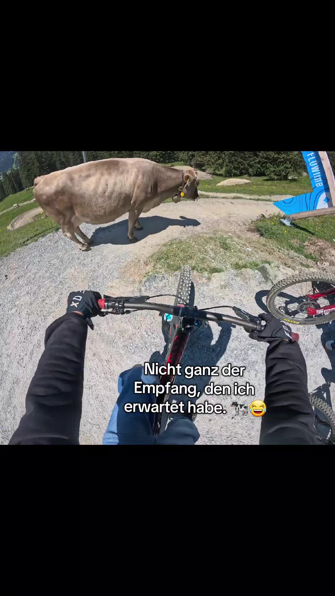 @𝕶𝖆𝖕𝖔𝖗𝖆𝖑_𝖒𝖙𝖇