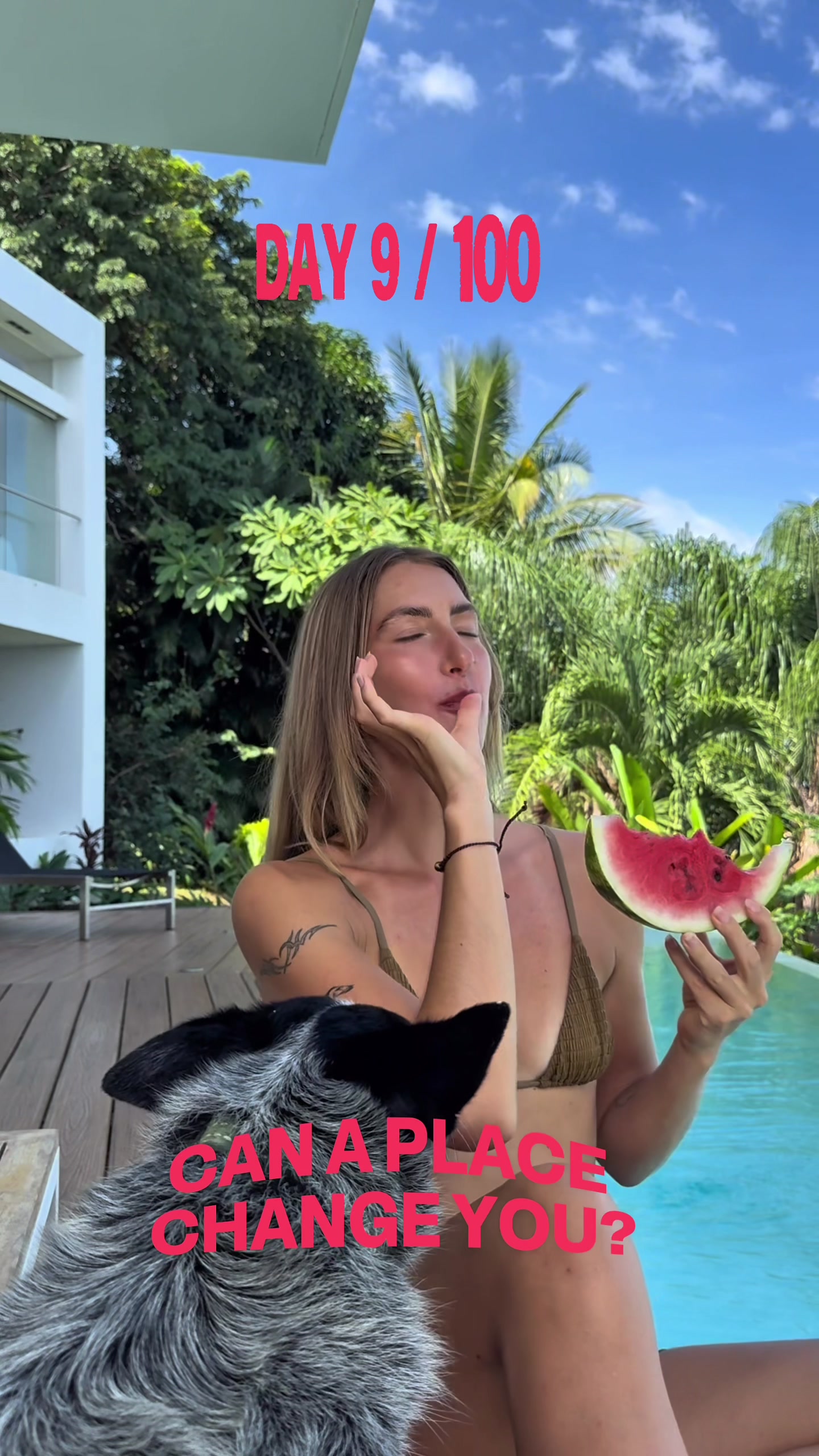 @livboetel