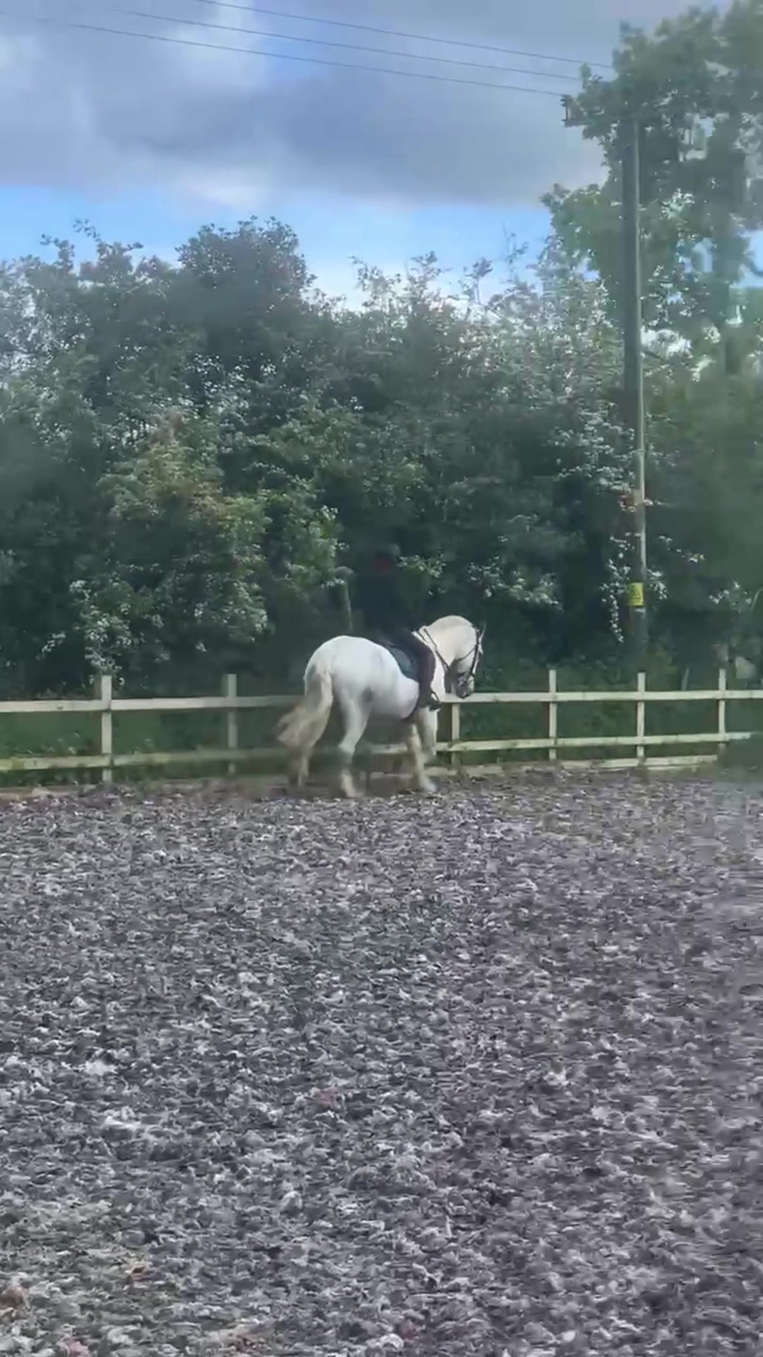 @horse