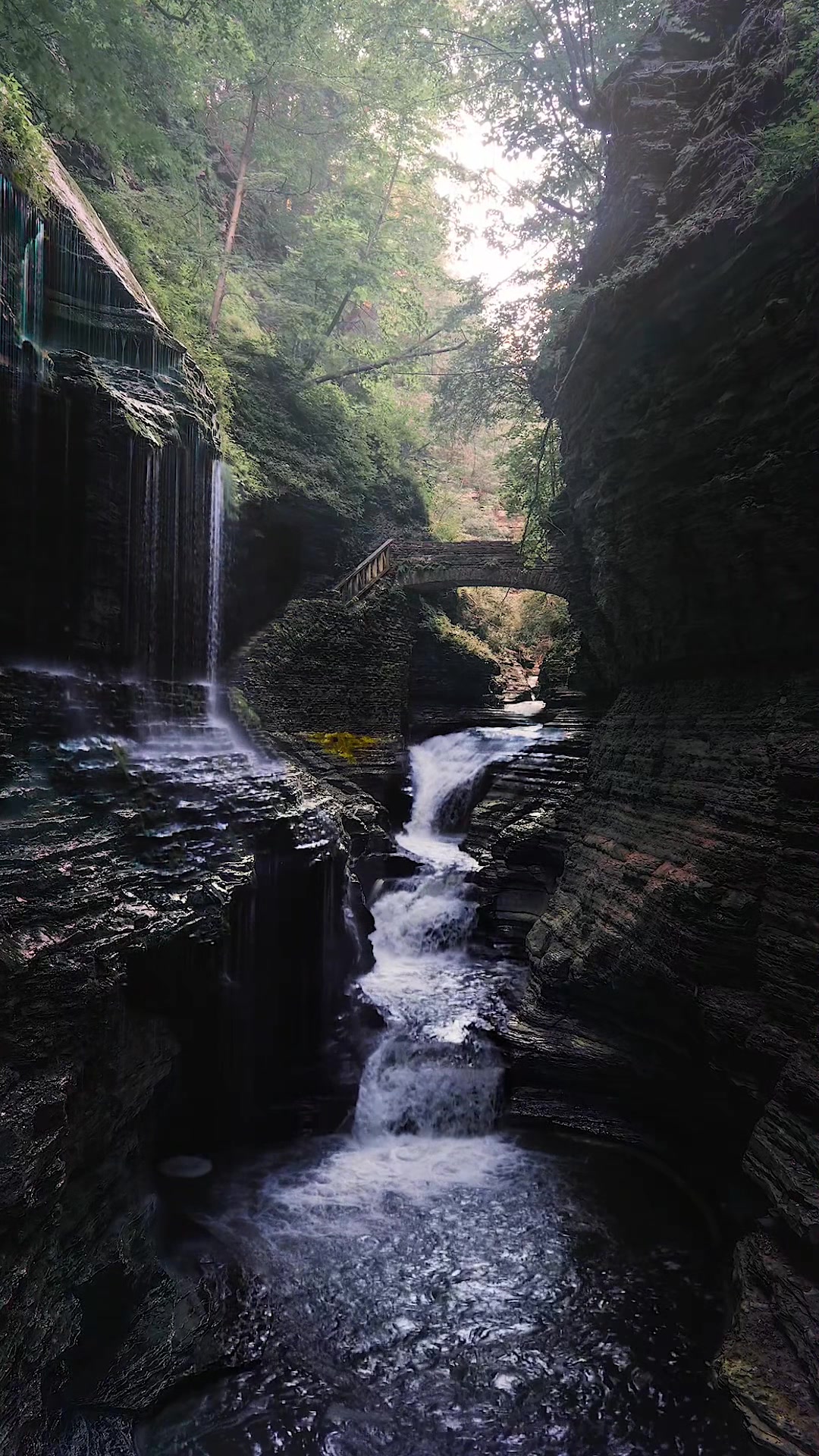 @wnyscenery.insta