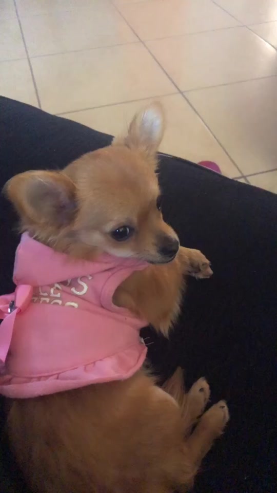 @Baby.tiny