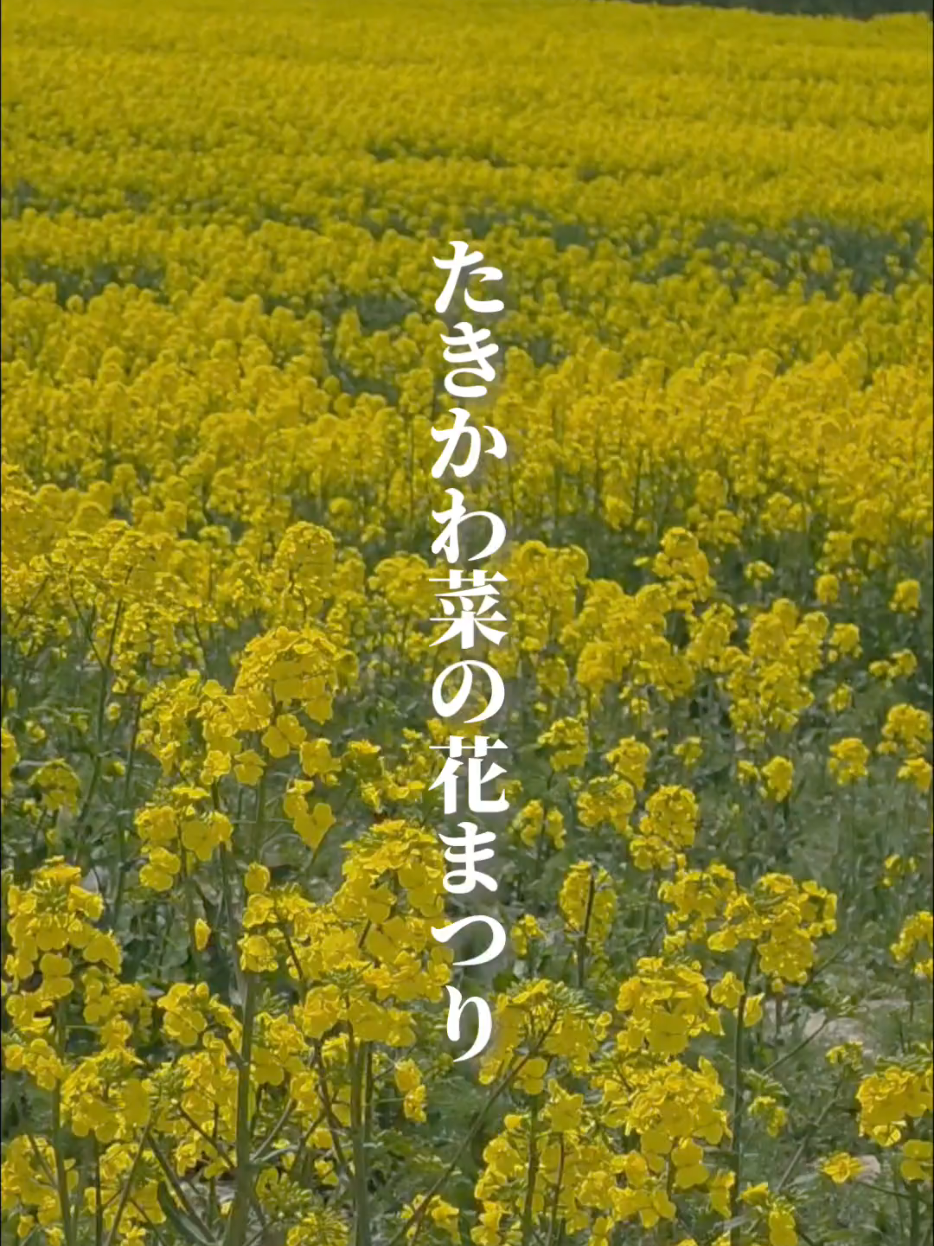 @滝川にマジな地域おこし協力隊【非公式】