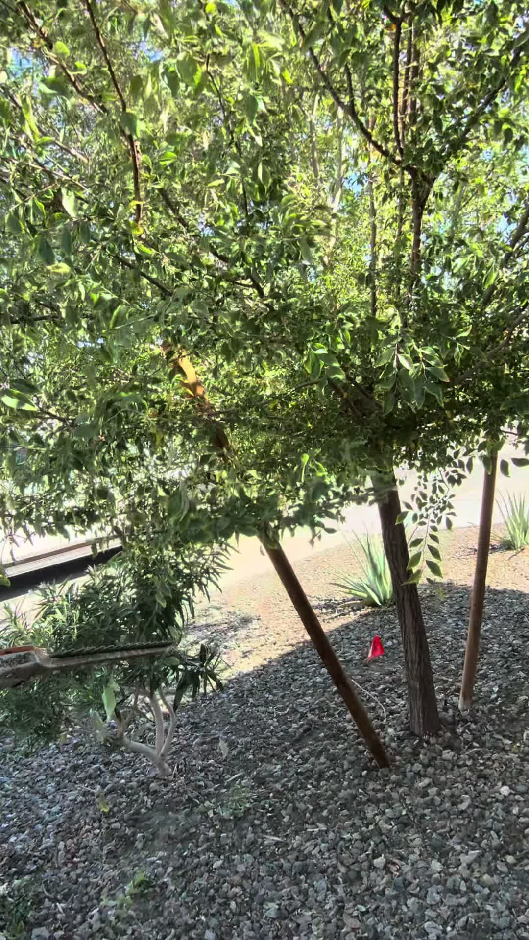 @landscaping