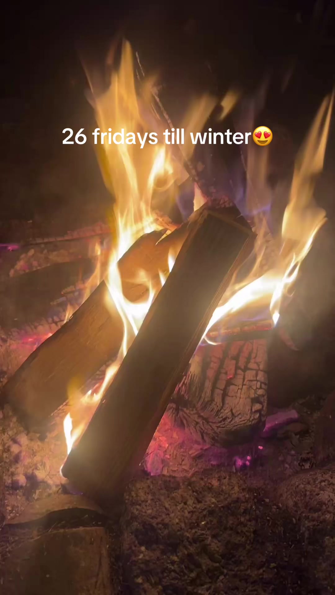 @Arcticcatmatt