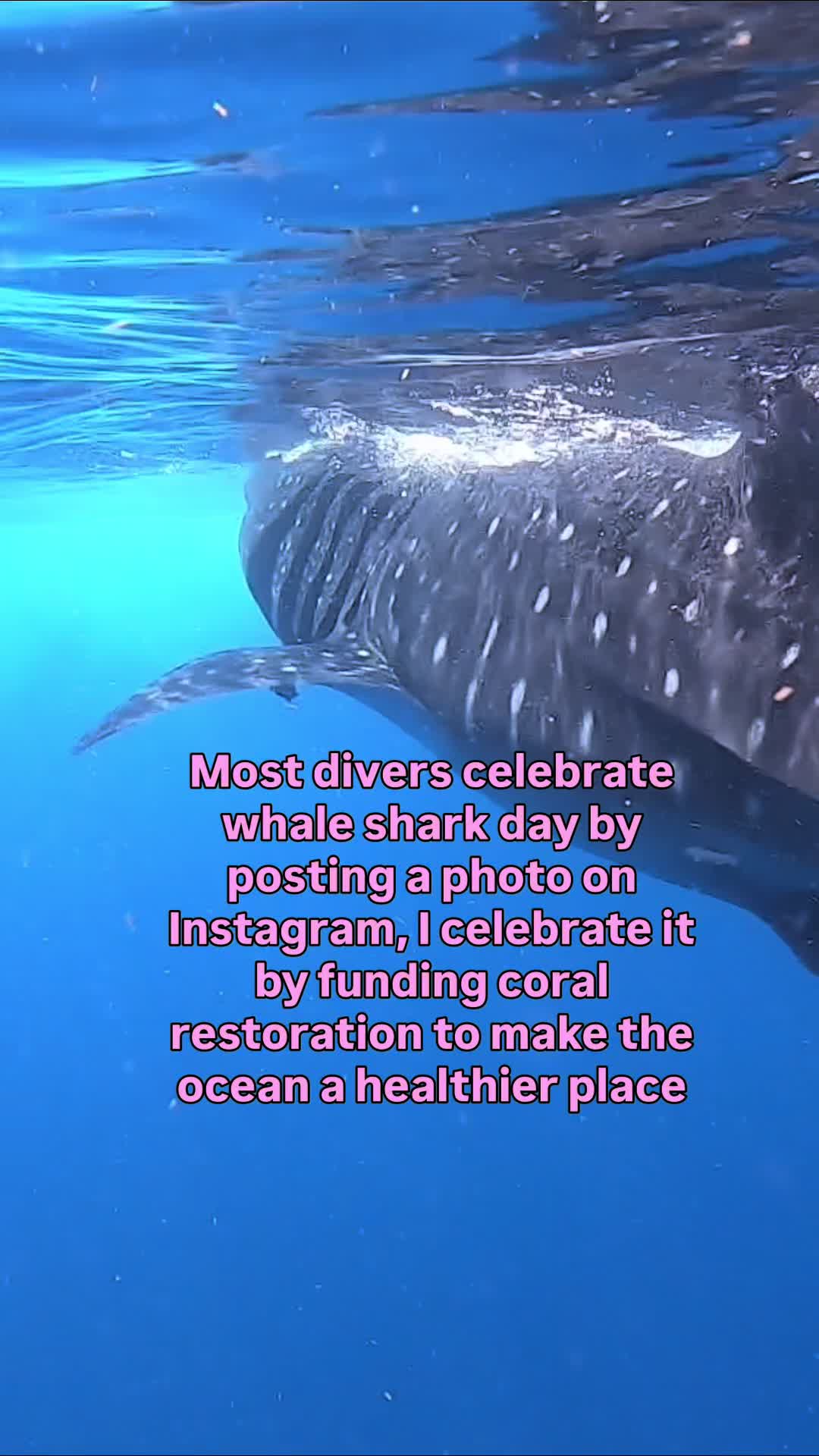 @The Dive Compass