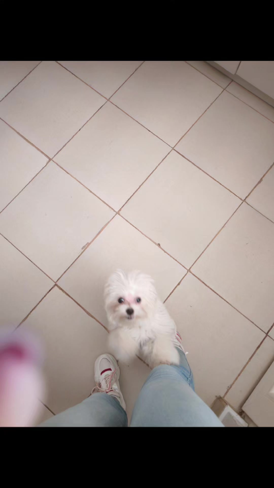 @CVETKOVIC NATAŠA🥰🥰🥰