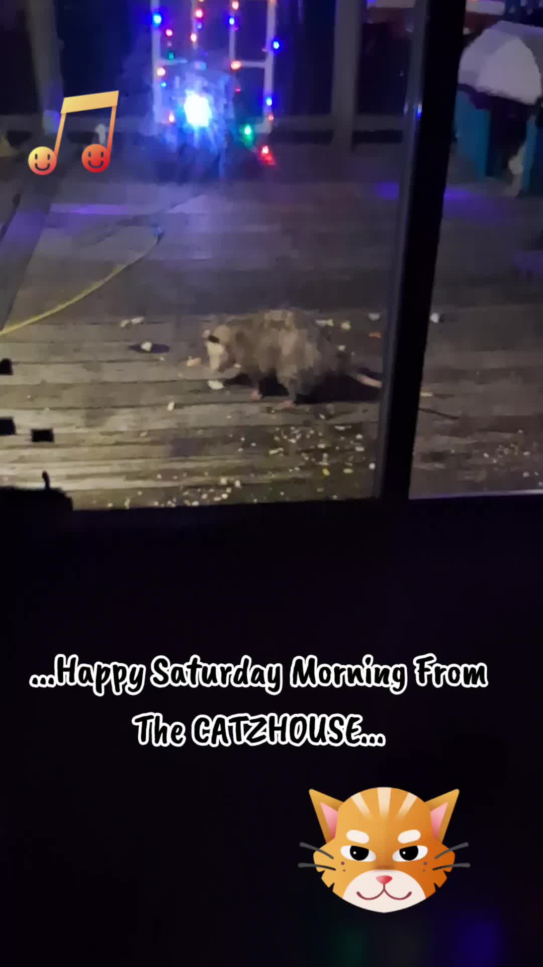 @Booh Hovey crazycatlady3