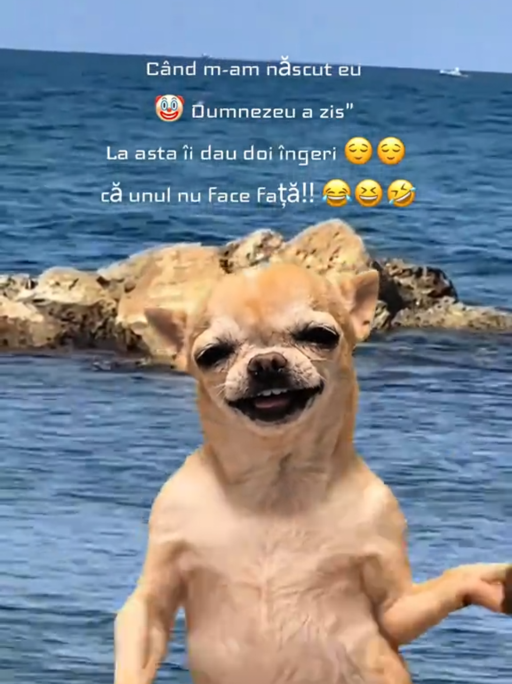 @๐ฏ๐๐๐ ๐ฌ๐๐๐๐