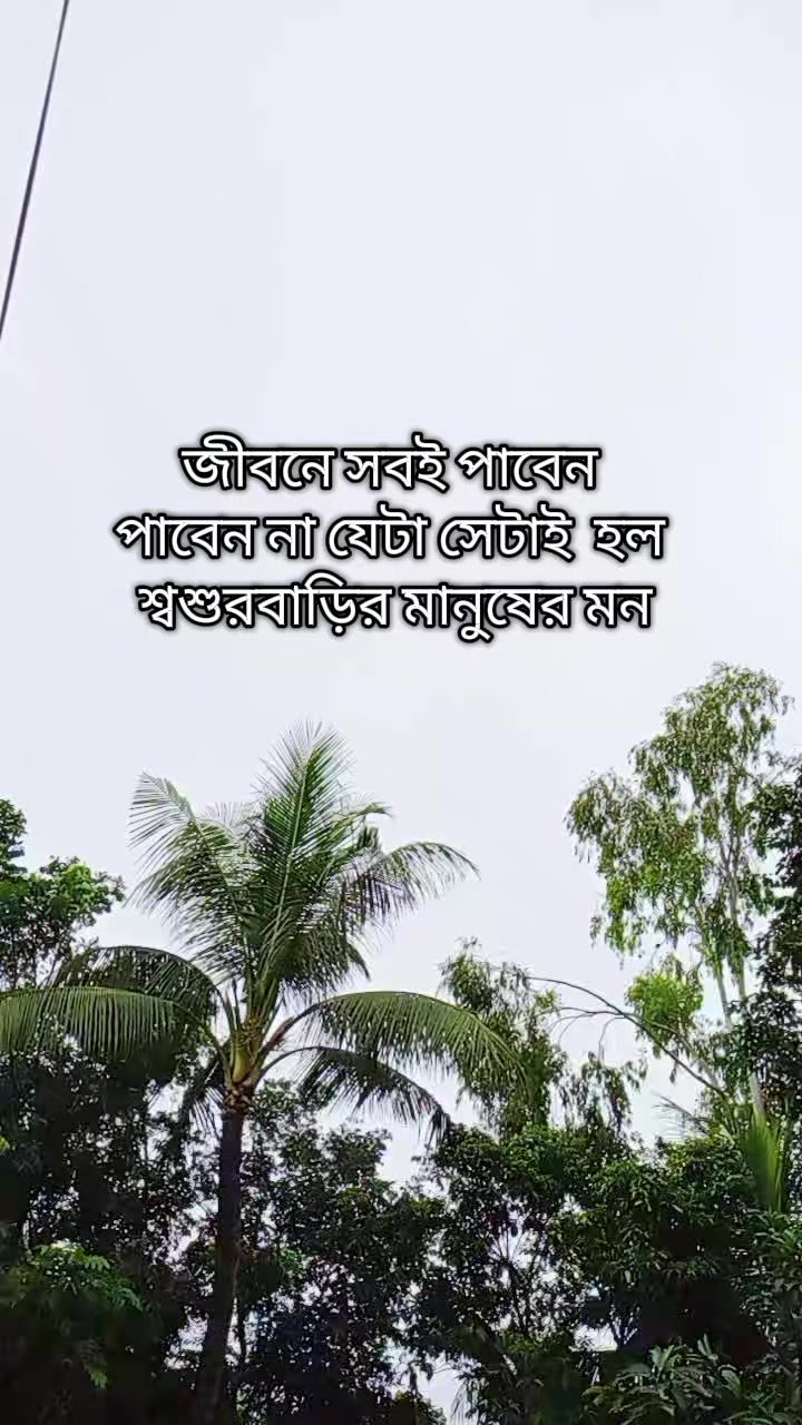 @✈️ প্রবাসীর বউ ✈️