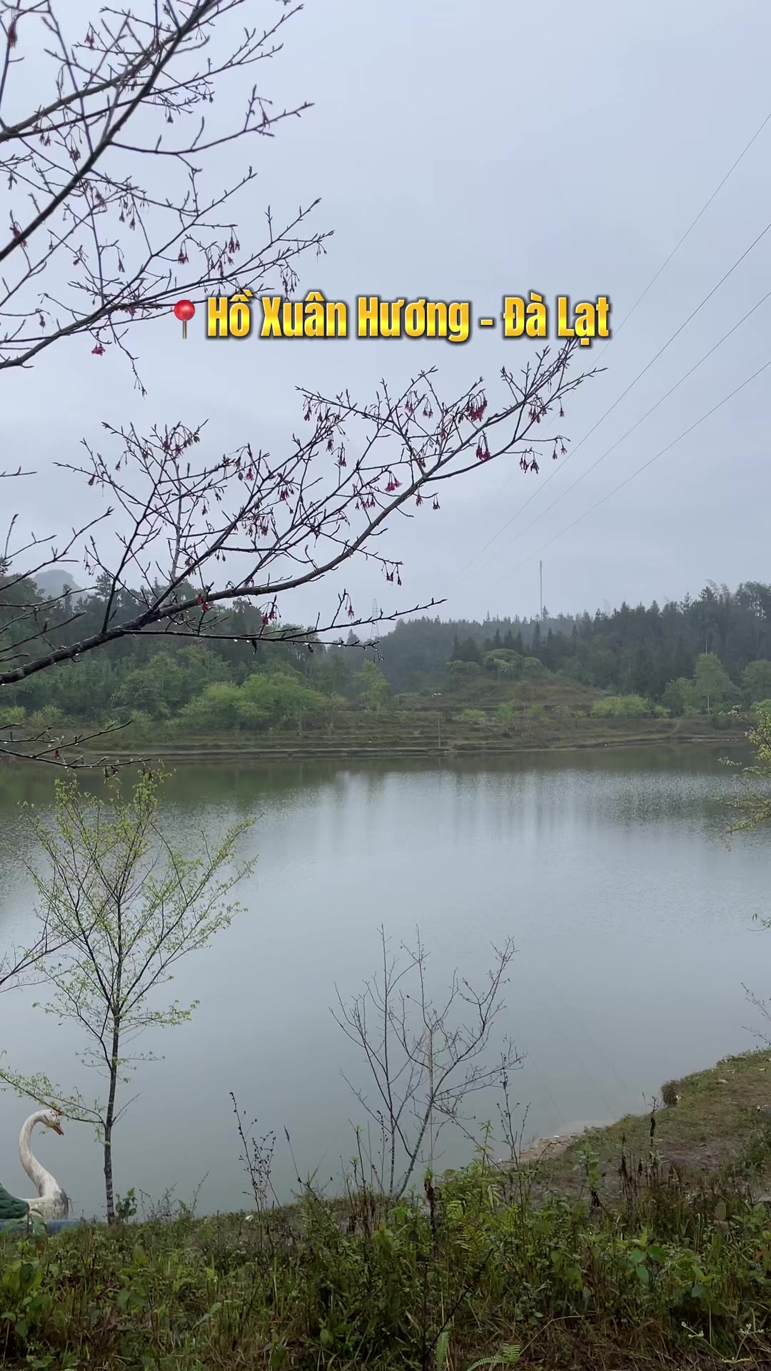 @Tu Phamm
