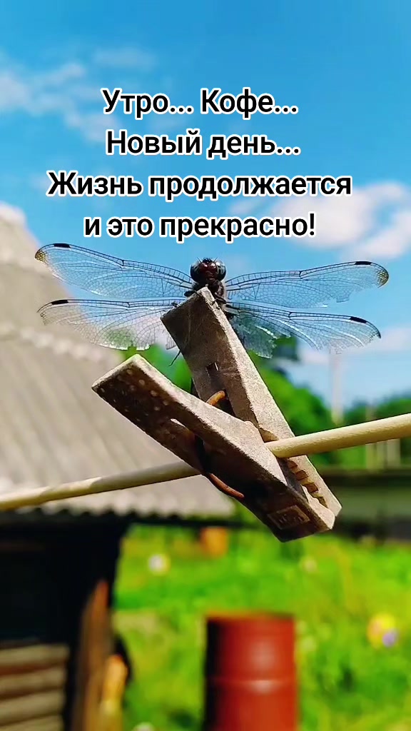 @Lesya Bronzova