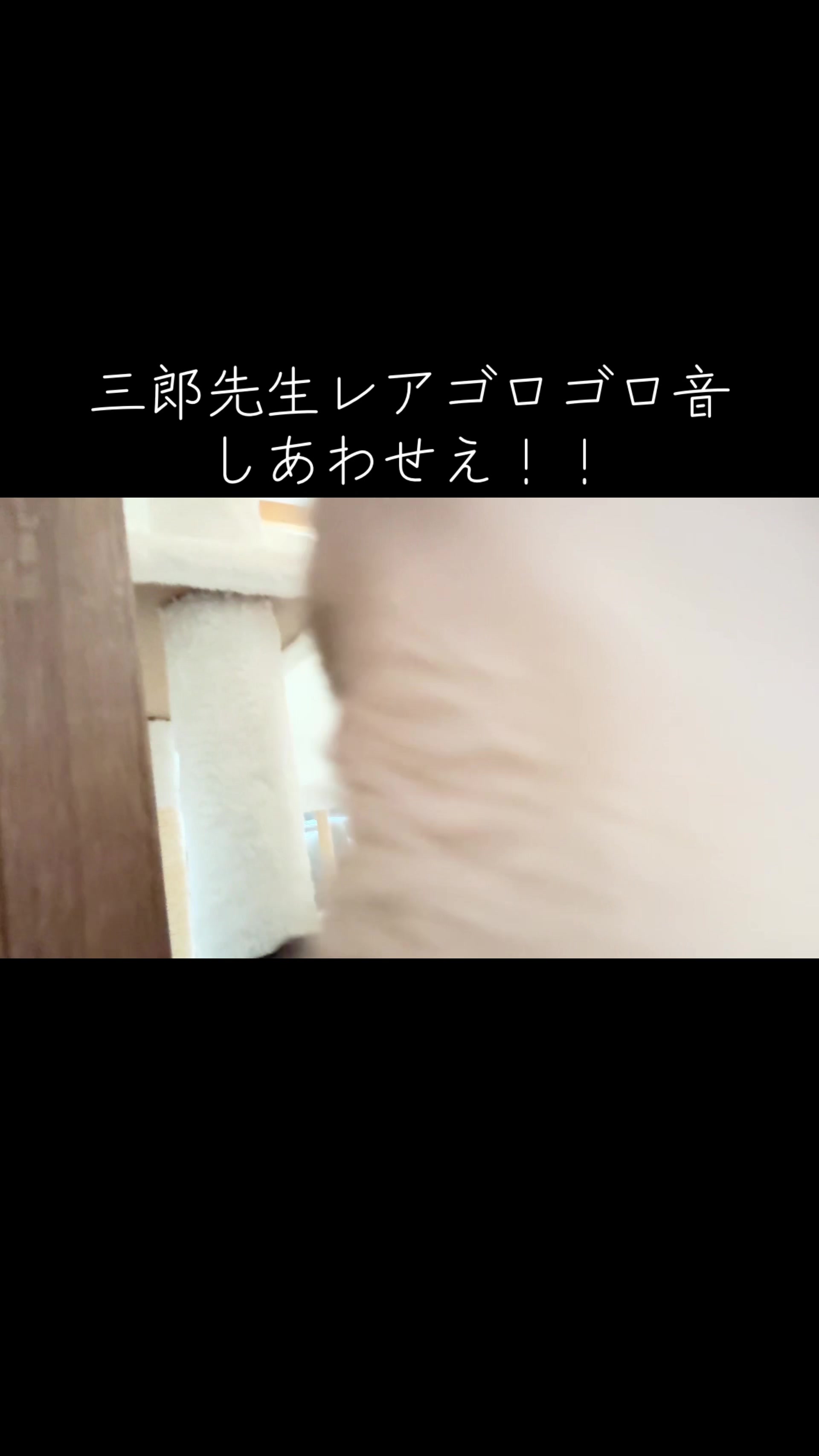 @さまむ〜