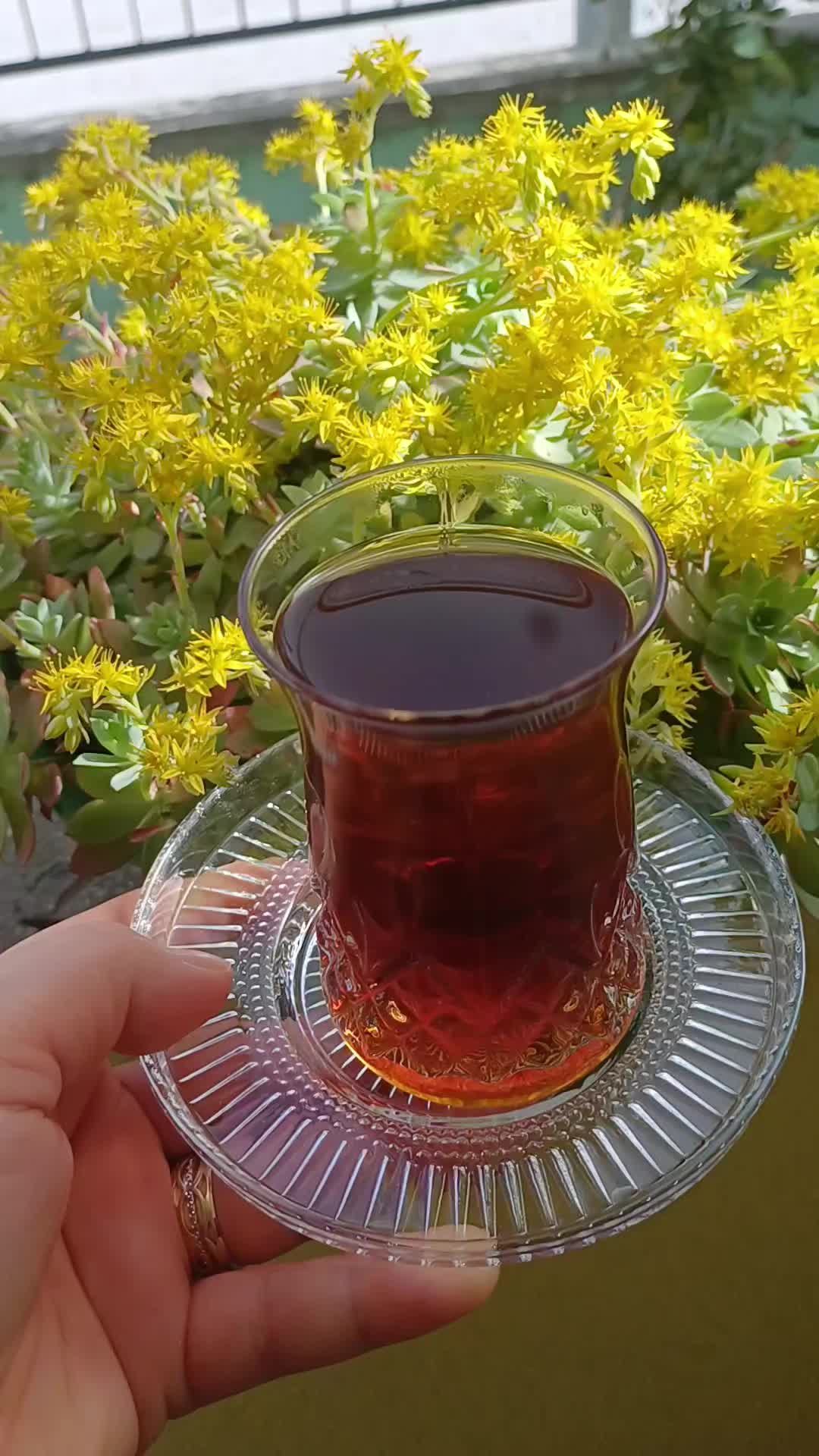@Hatice