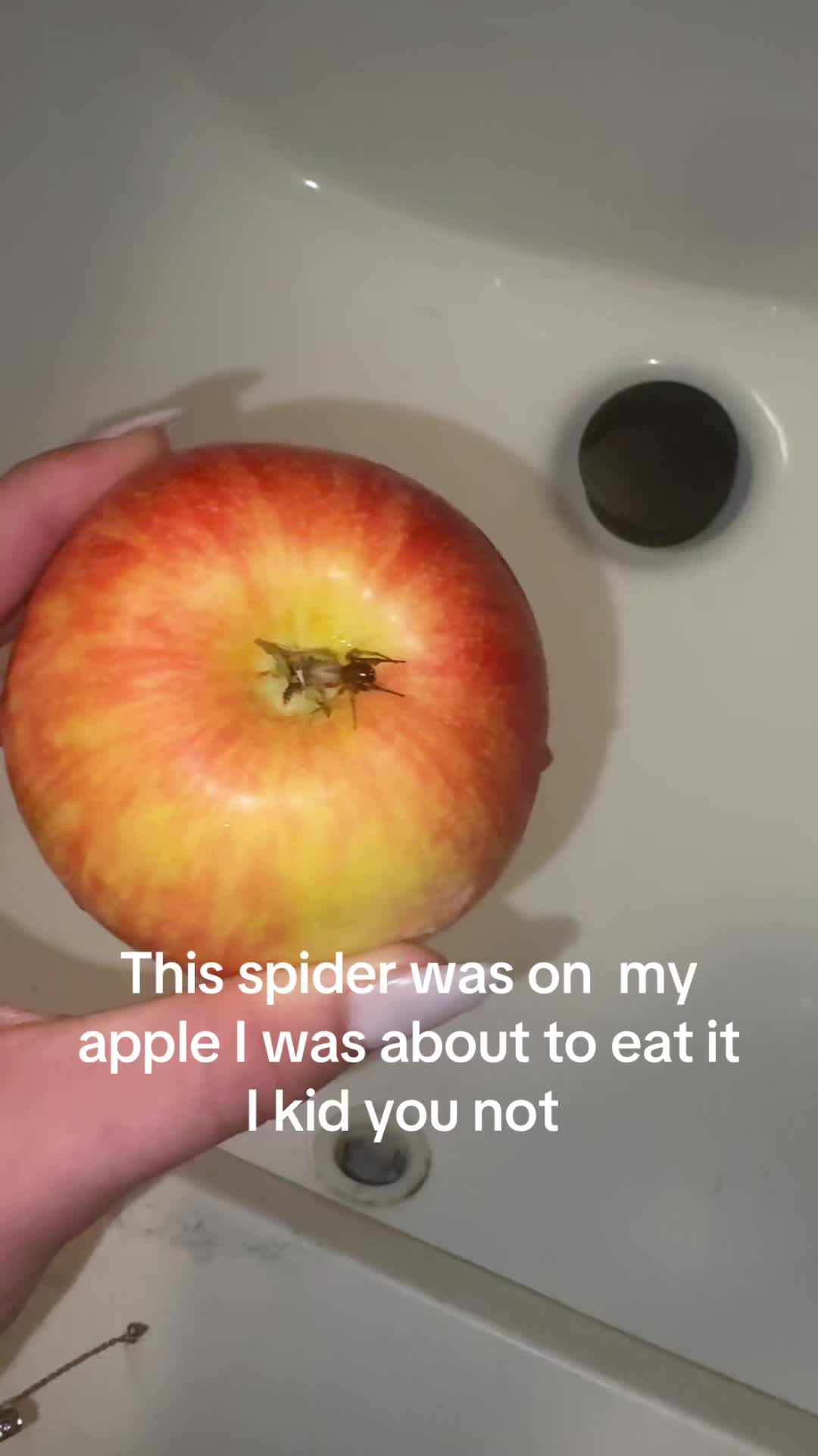 @evildemongirl420