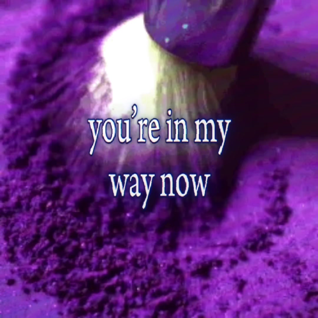 @rex ⋆˚꩜。