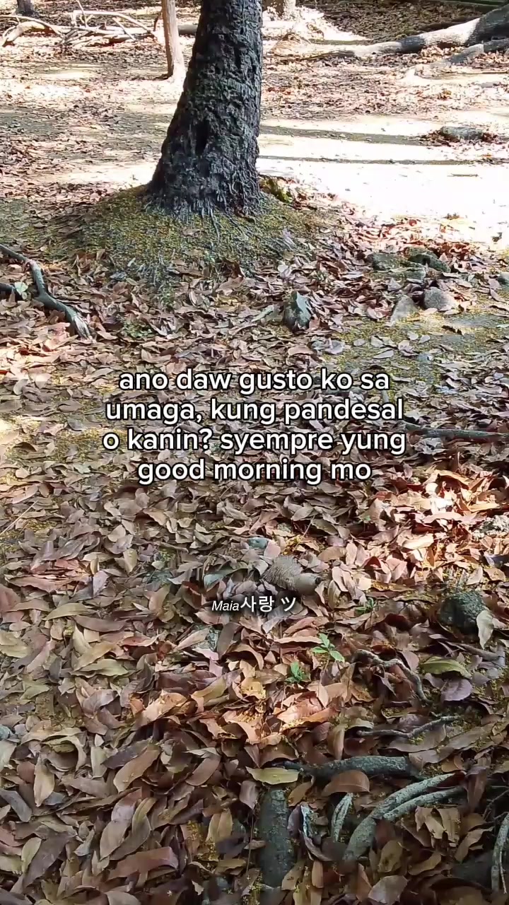 @𝘔𝘢𝘪𝘢사랑 ツ