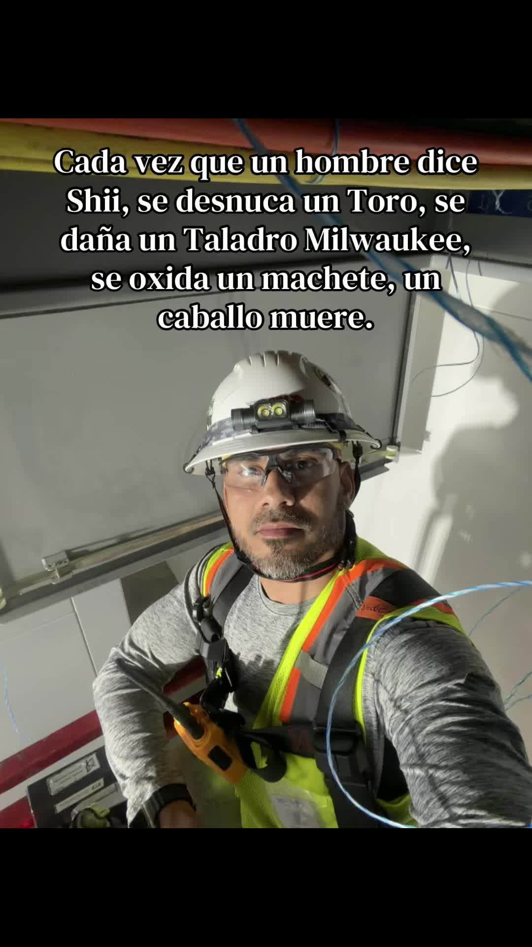 @Elisaúl José