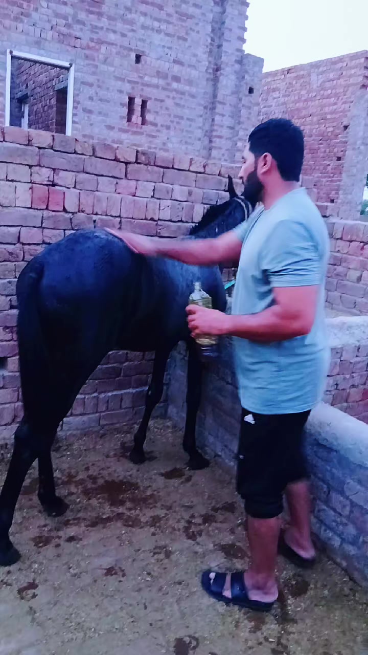 @kashi dogar