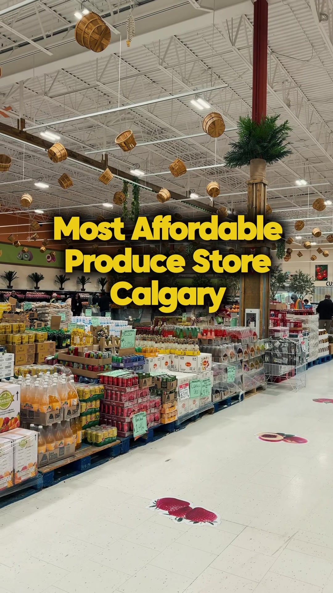 @Sans | Calgary Content Creator