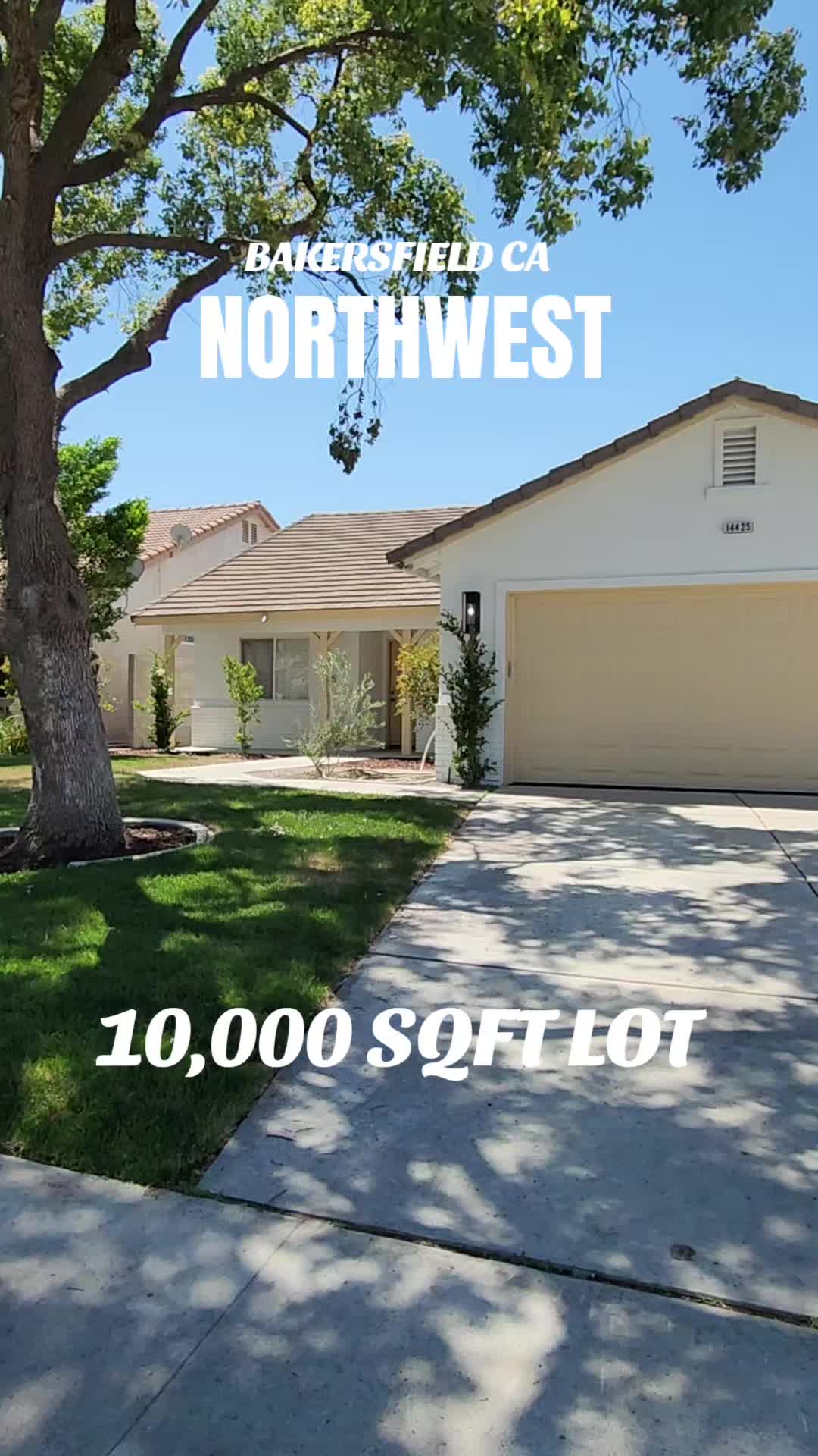 @Mr Real Estate