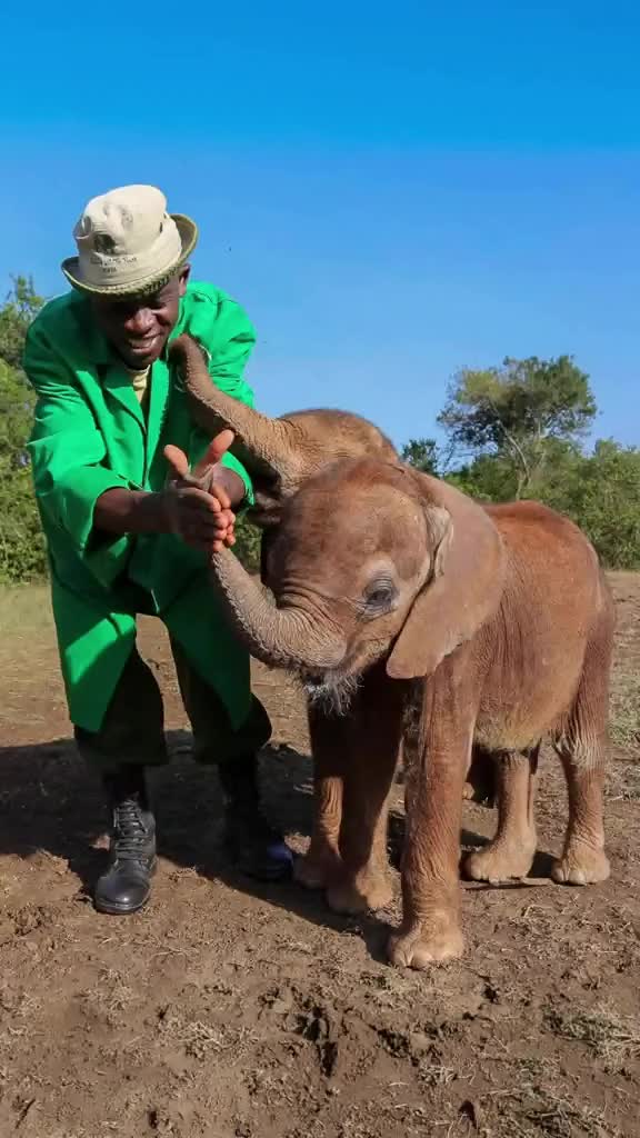 @SheldrickTrust