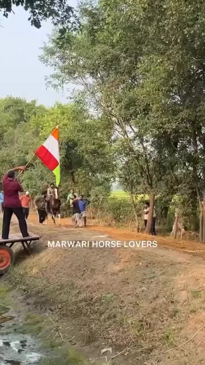 @🏇 MARWARI HORSE RACING 🏇