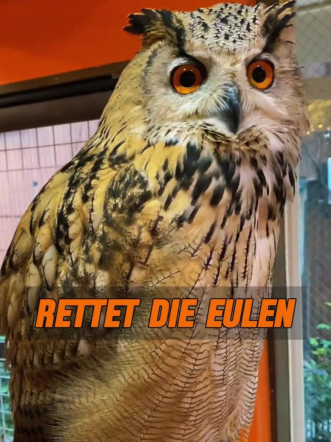 @Geo Tierwelt