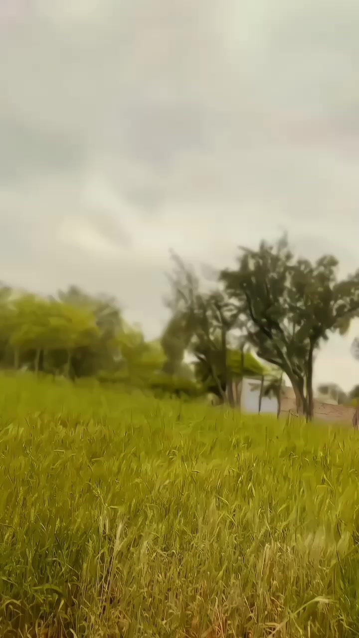 @〄🇸ᴀ ǫ ɪ ʙ ☛🇰 ʜ ᴀ ᴛ ᴛ ᴀ ᴋ 〄