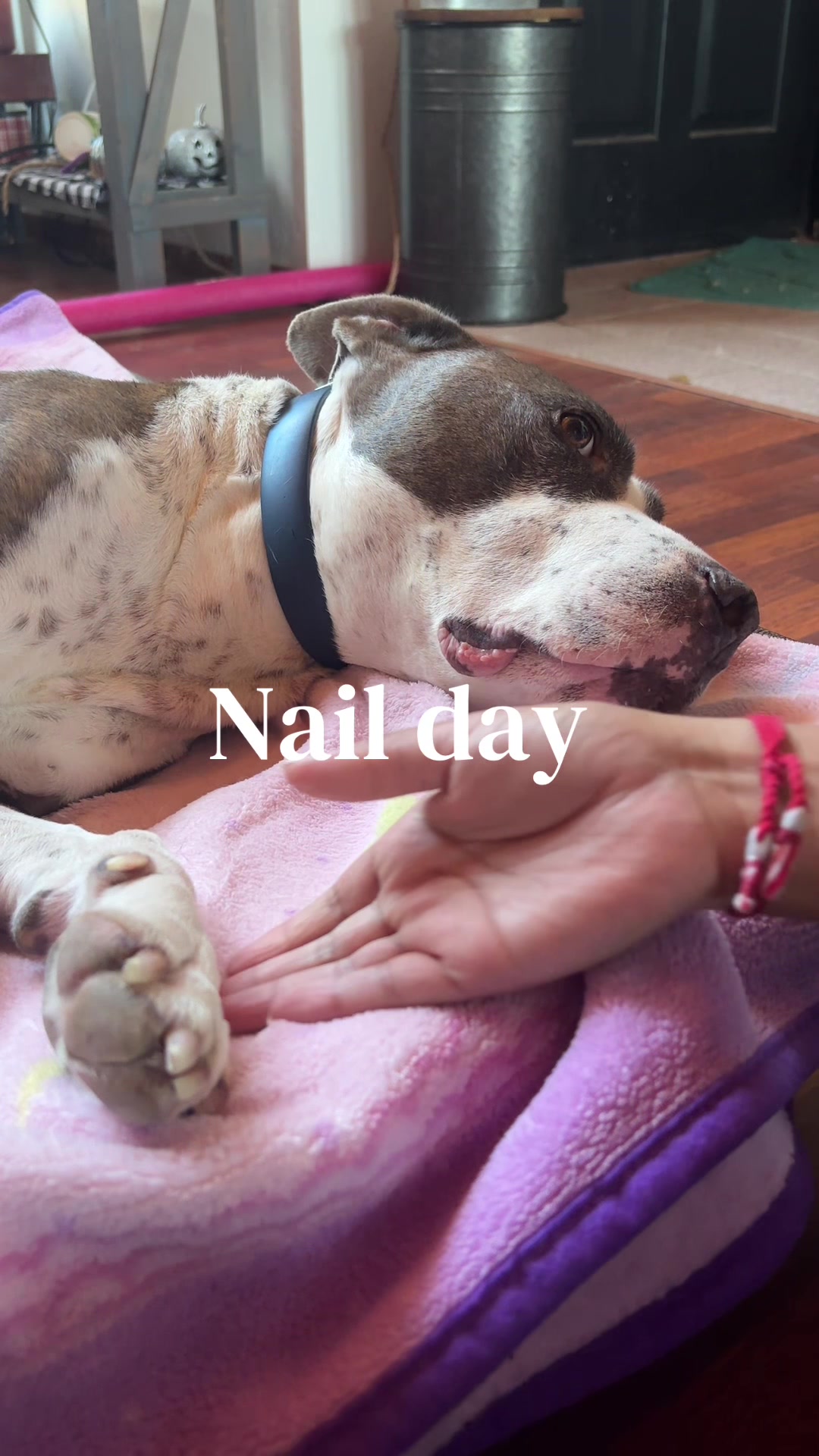 @caponethepitty