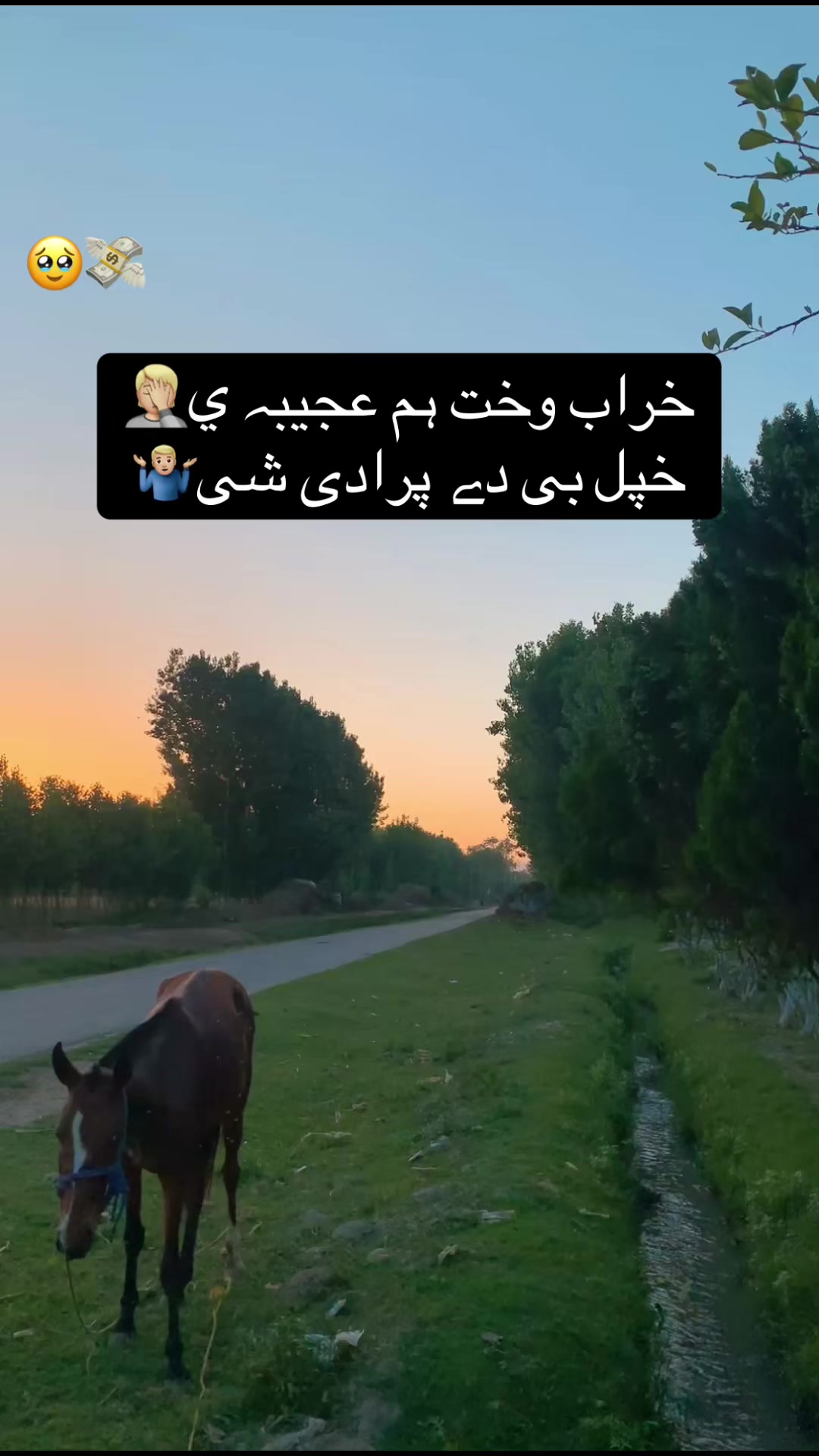 @N A T U R A L🍃