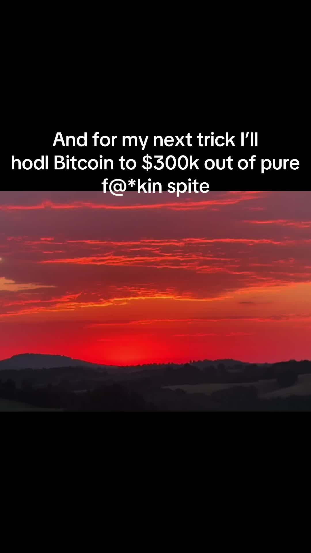 @BitcoinMaxxing