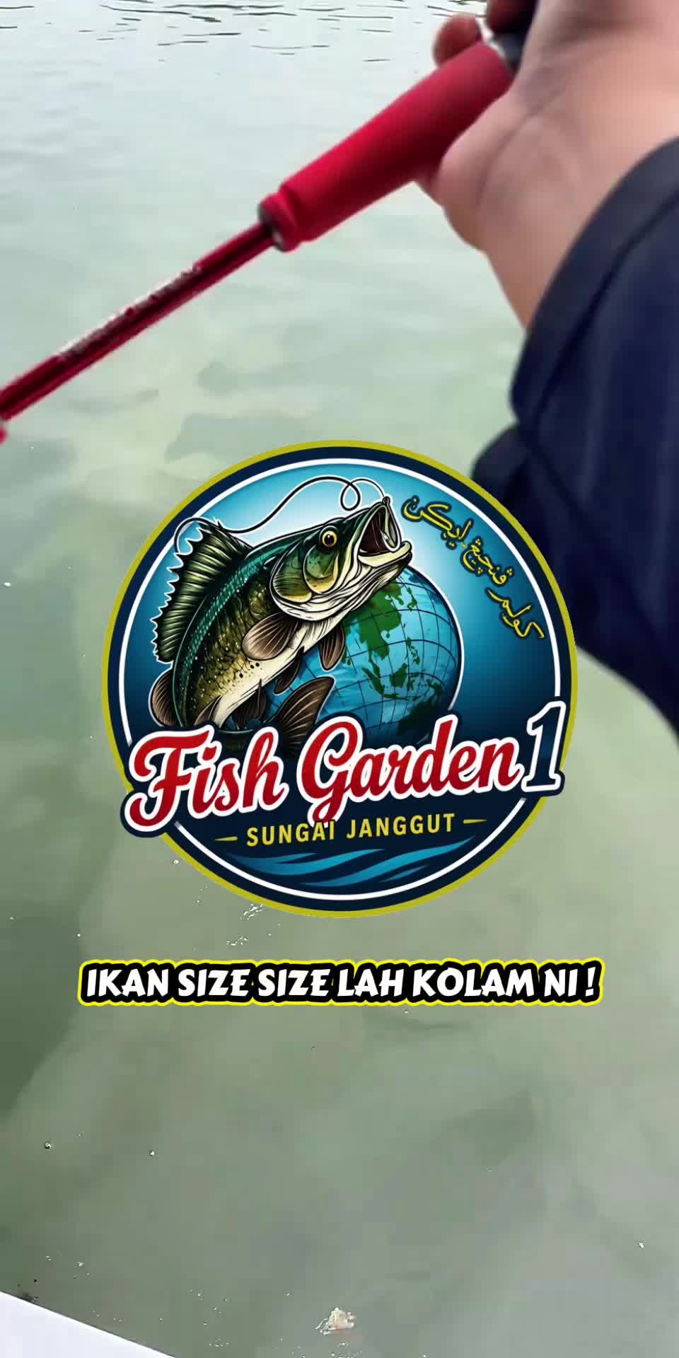 @M Z Reel 🎣