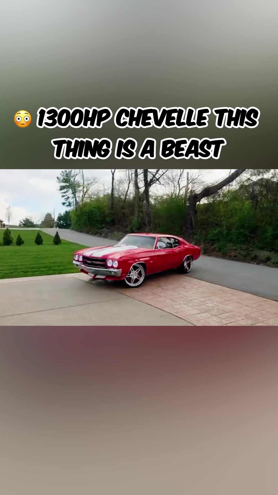 @Muscle Cars
