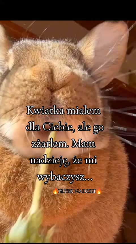 @🔥BŁYSK NADZIEI🔥
