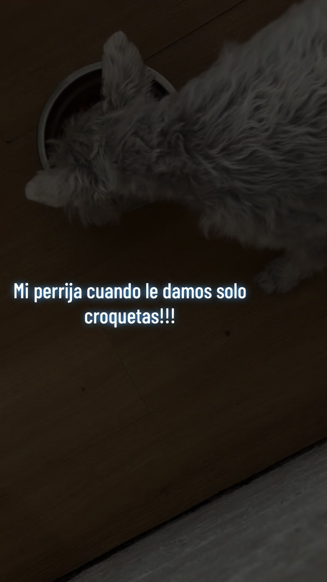 @😒Valentina Cue🥰