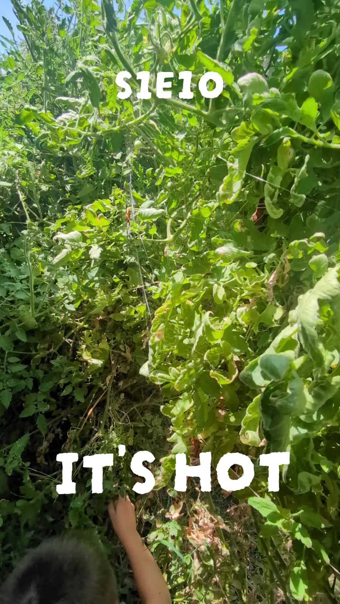 @Endunamoo_sc