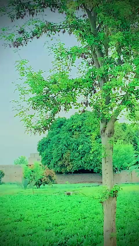 @JONI$$BHAKKAR•❤️❤️🥀🥀