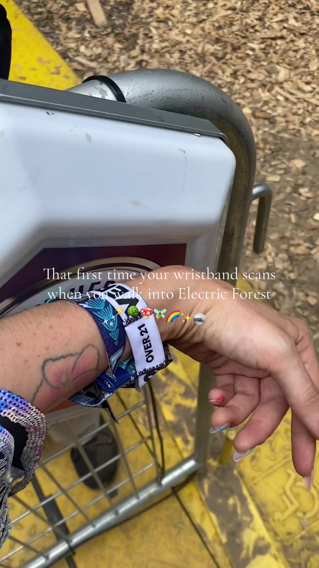 @🧀cheese | mama + eforest tips