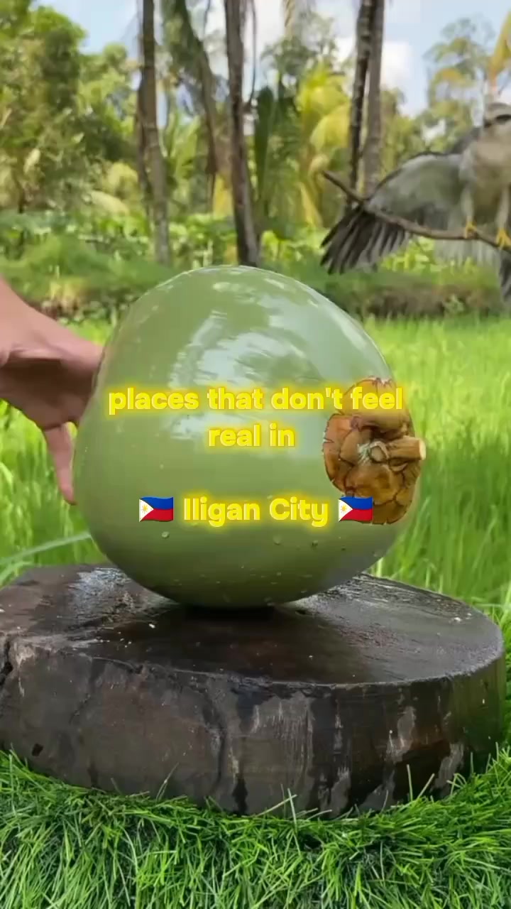 @ao