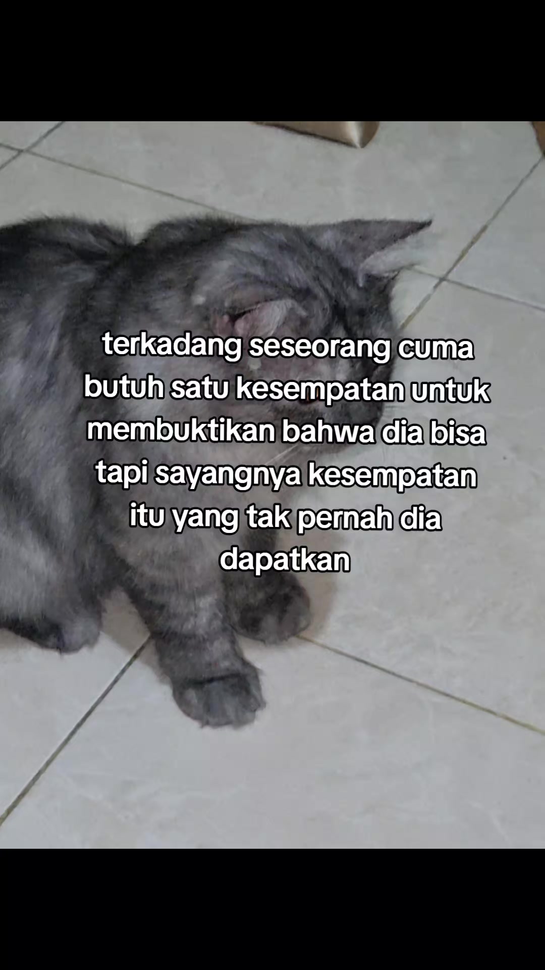 @wariii