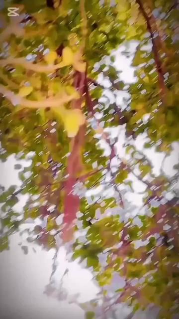 @Aftab_bacha_46 👑