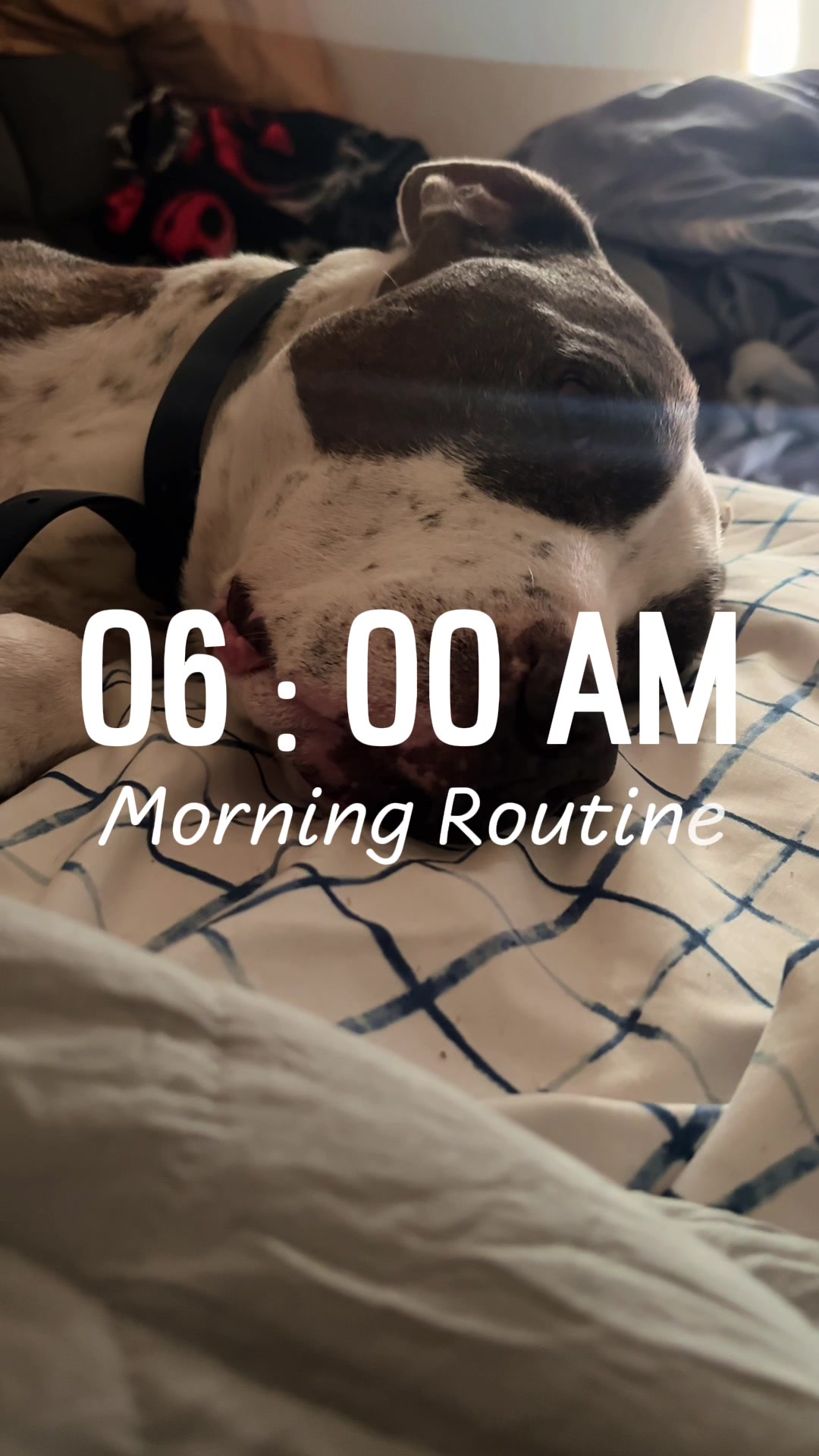 @caponethepitty