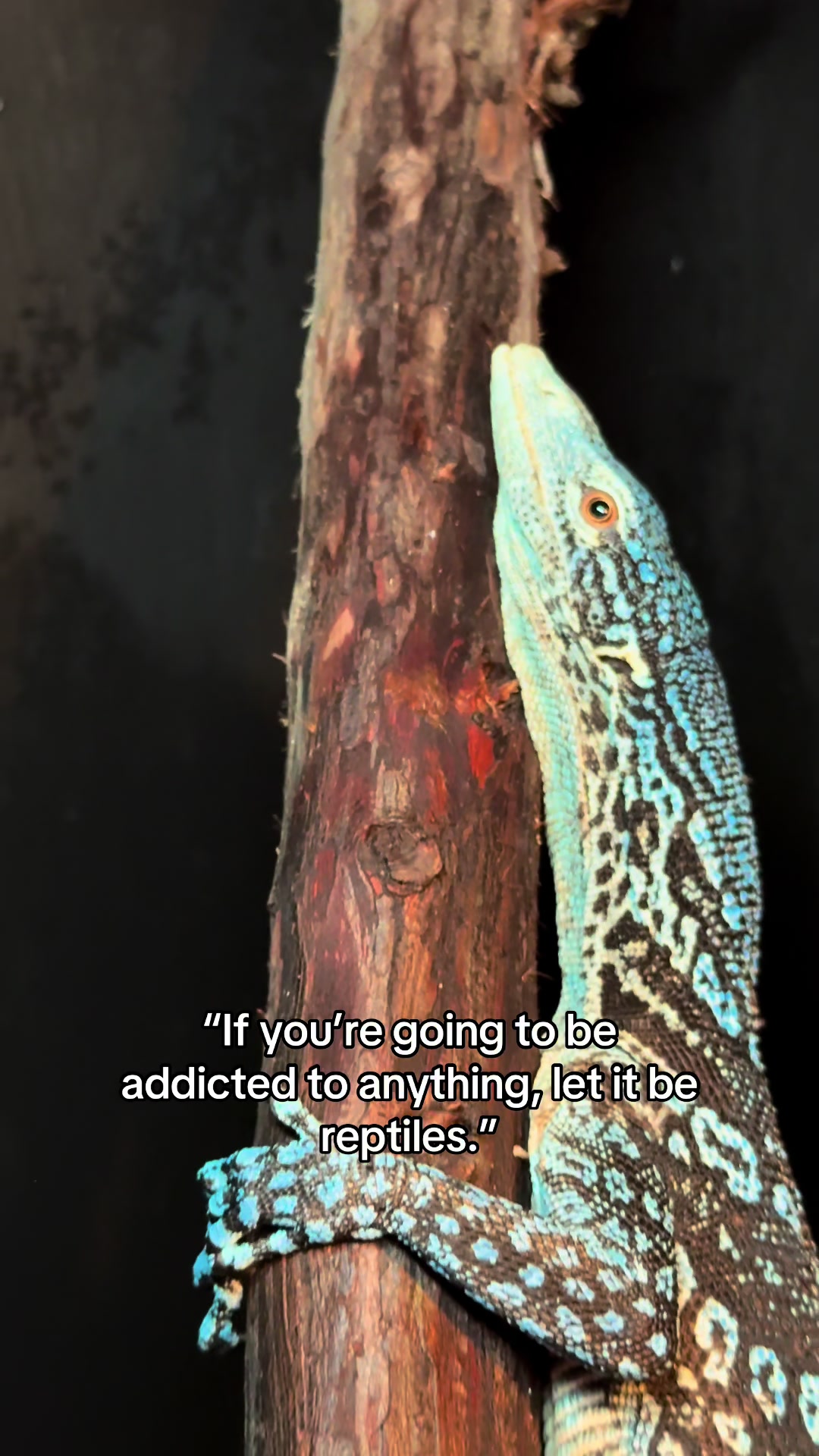 @Bionic Benny