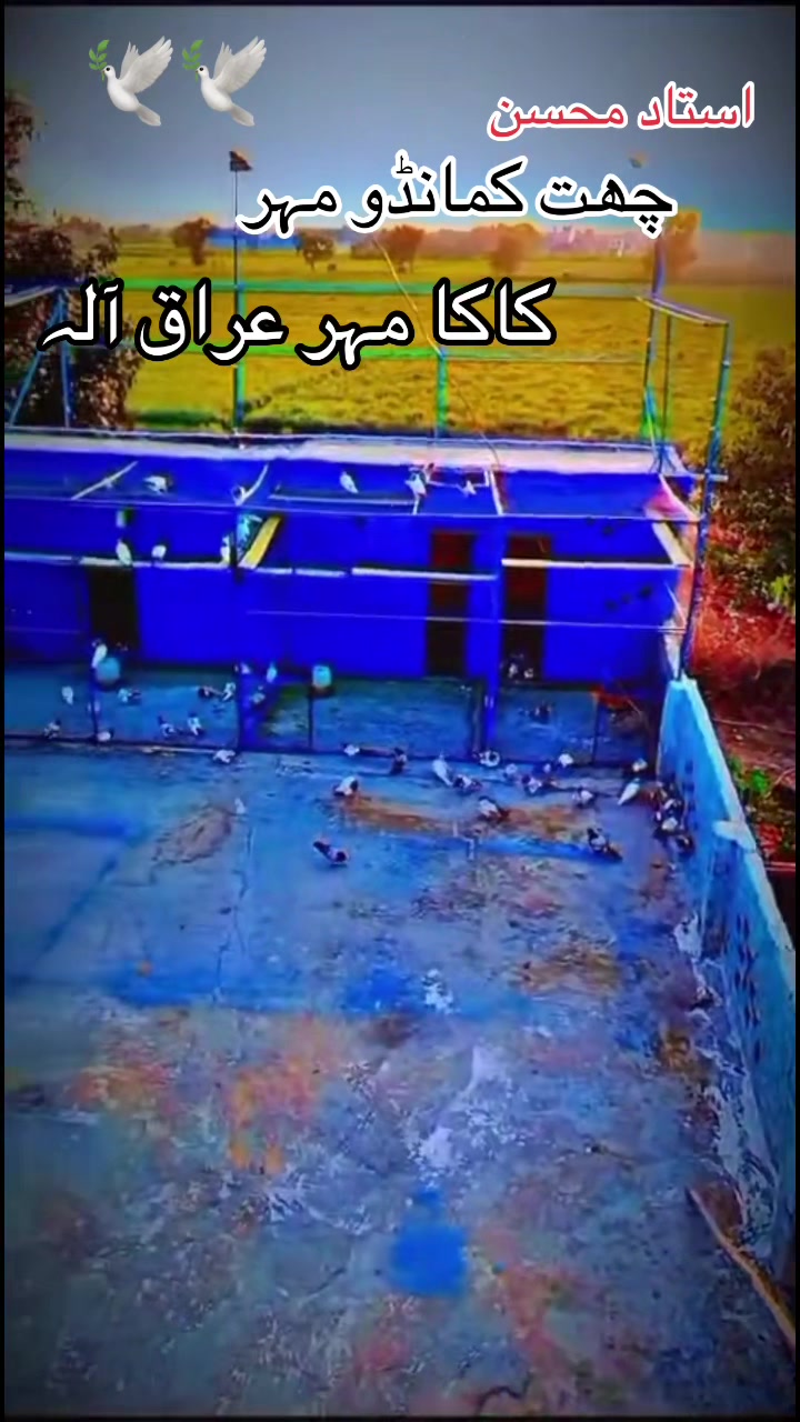 @کاکا مہر عراق آلہ 🤼🙌🏻💯