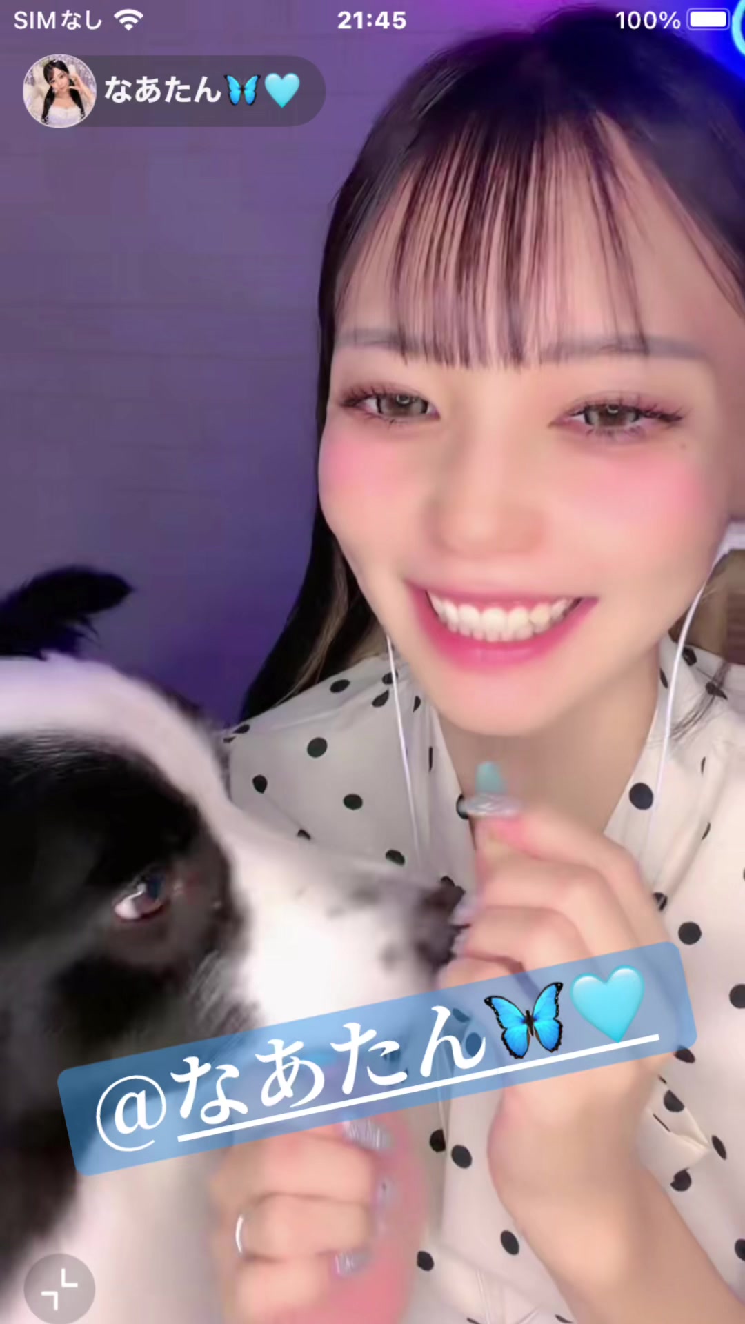 @レッサー君