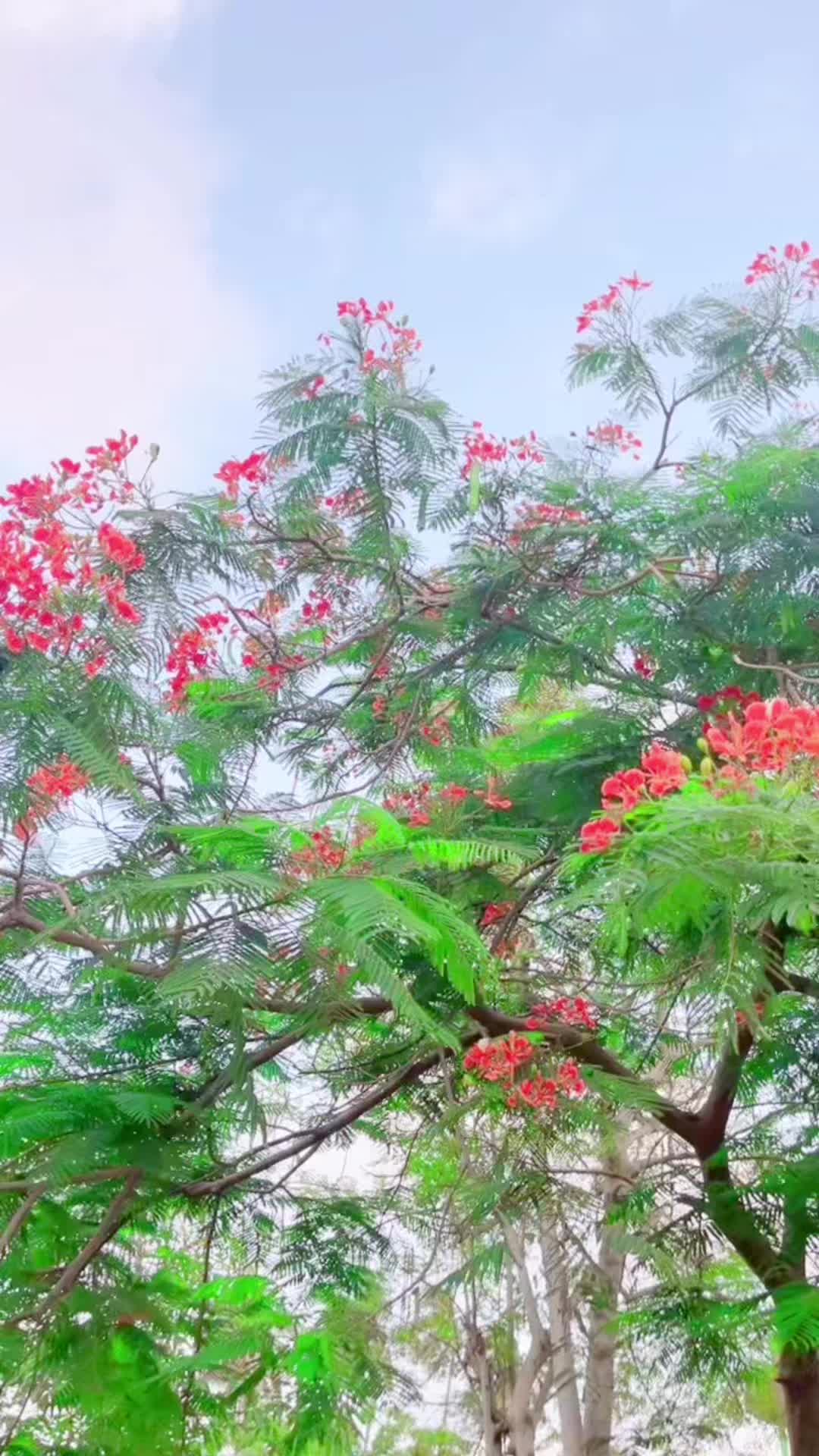 @đ¨.đ đ
đ
đ
đ
˘