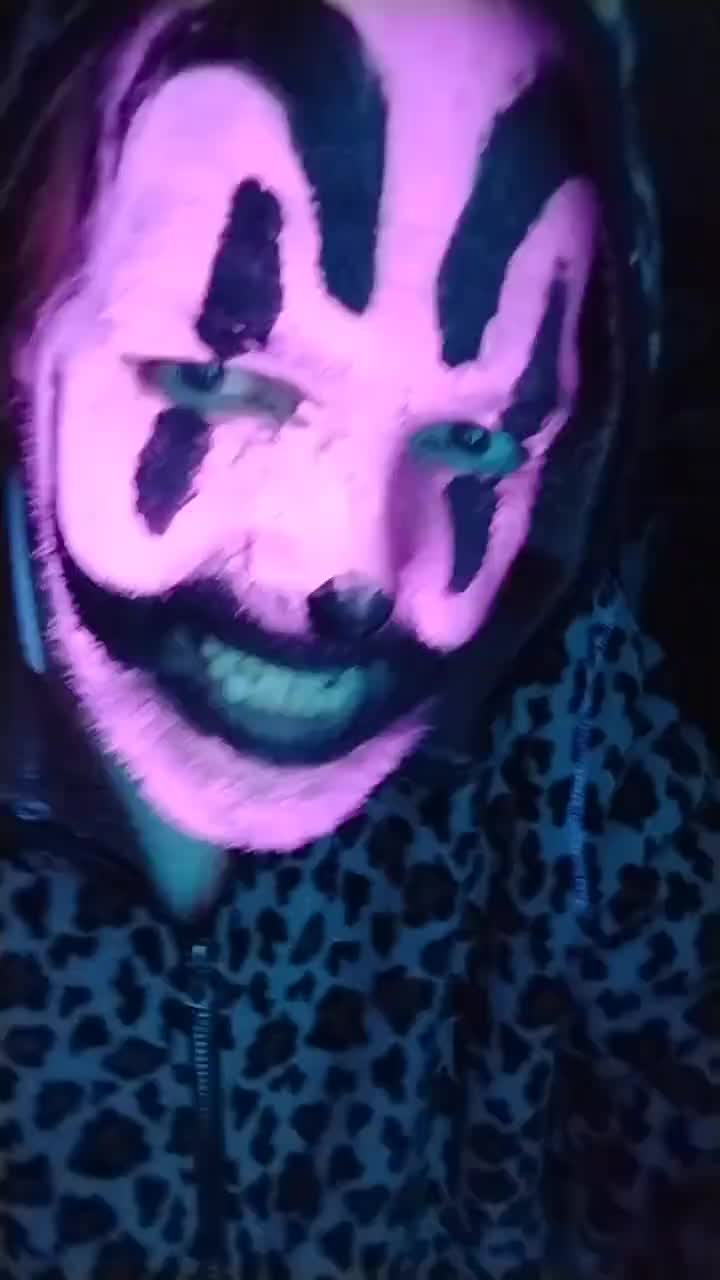 @PurgeKitty