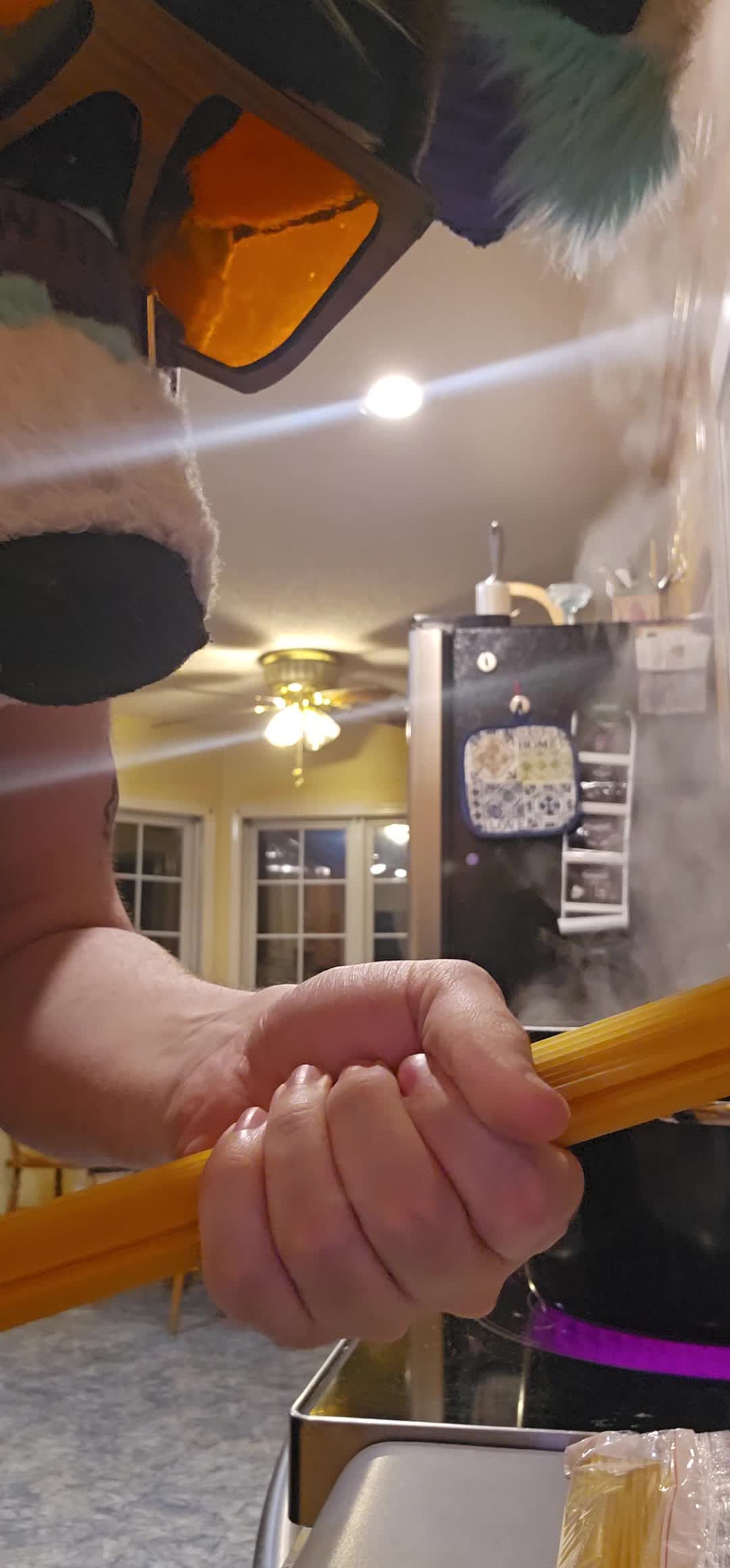 @SalemTheFox