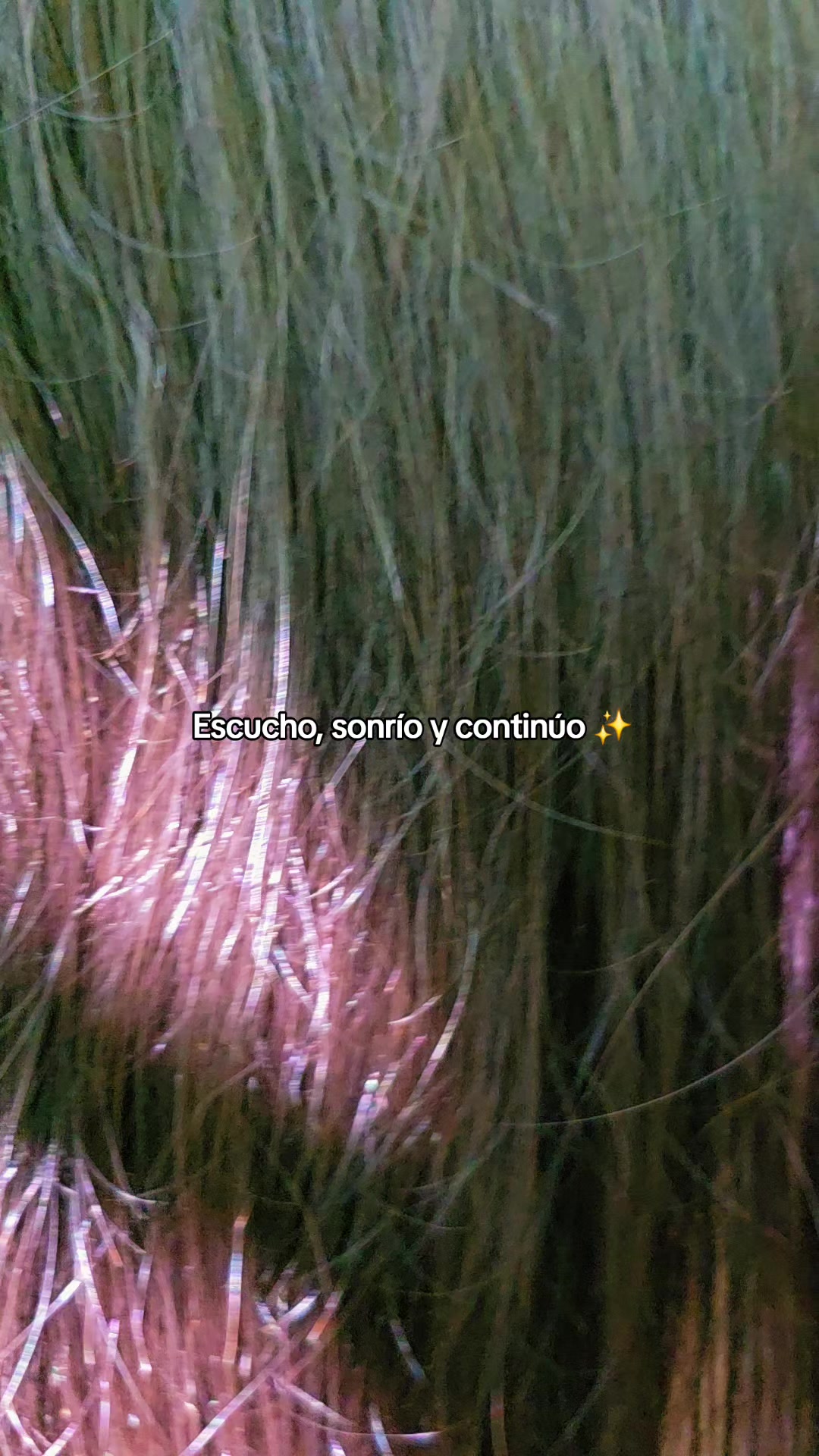 @Evelyn 🍀