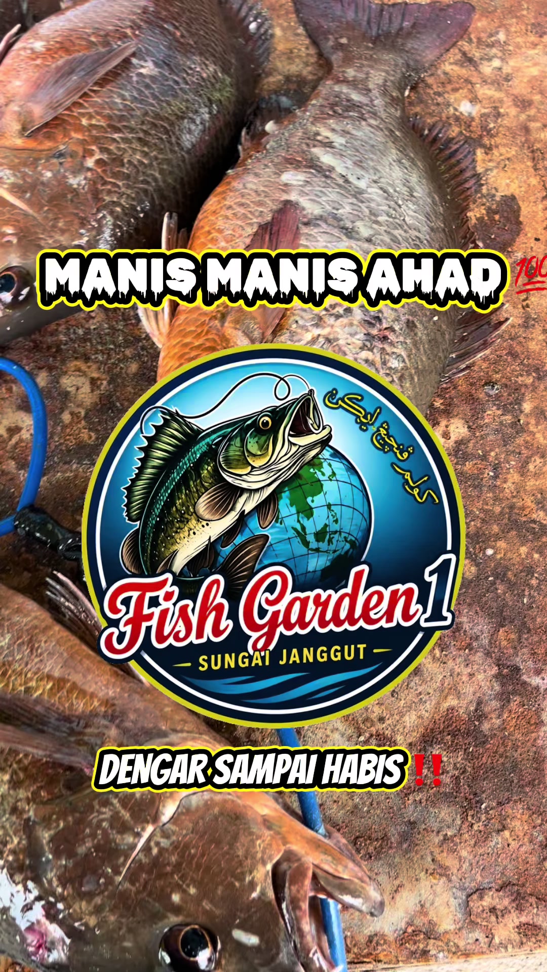 @M Z Reel 🎣